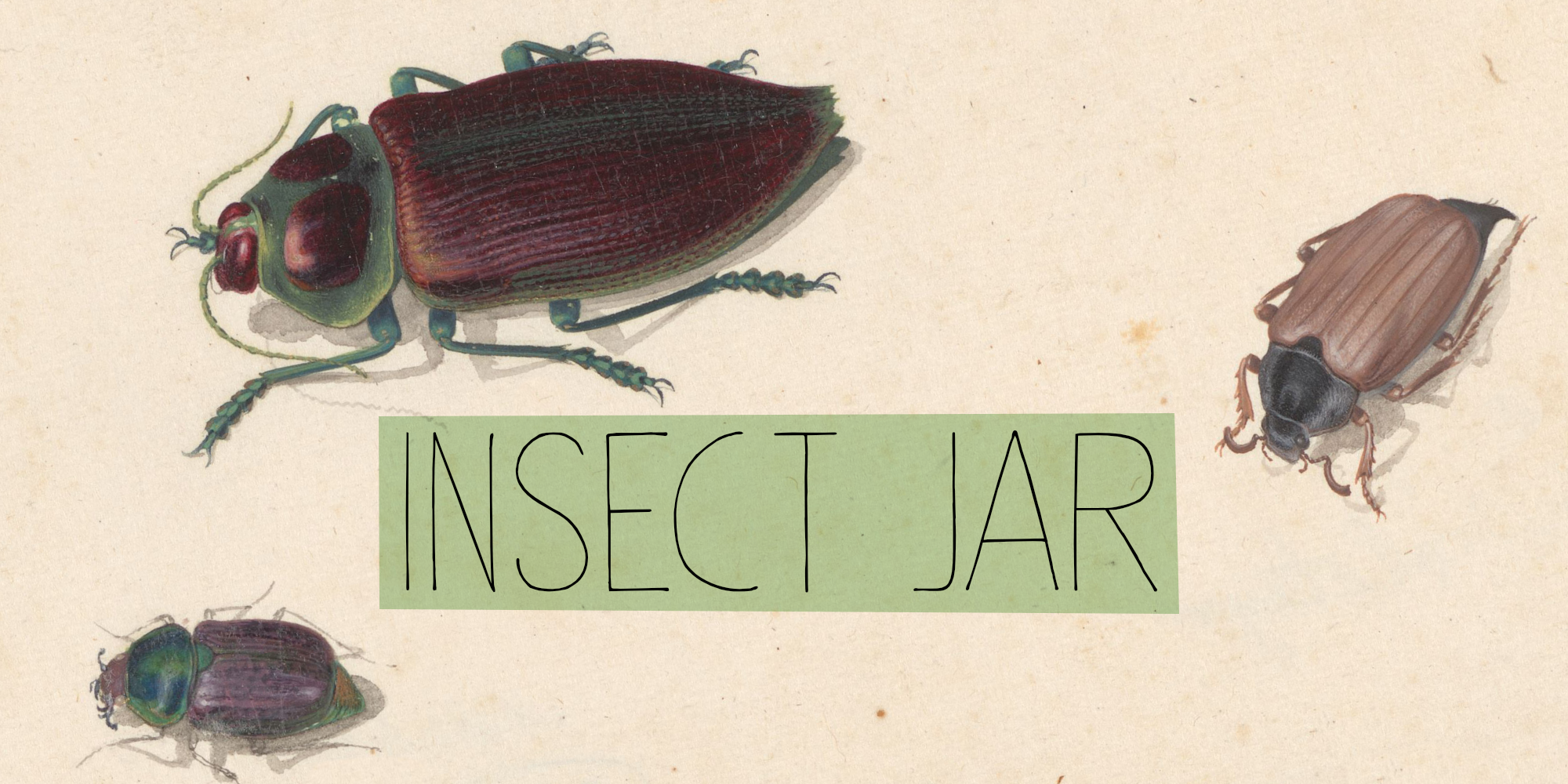 Insect Jar DEMO